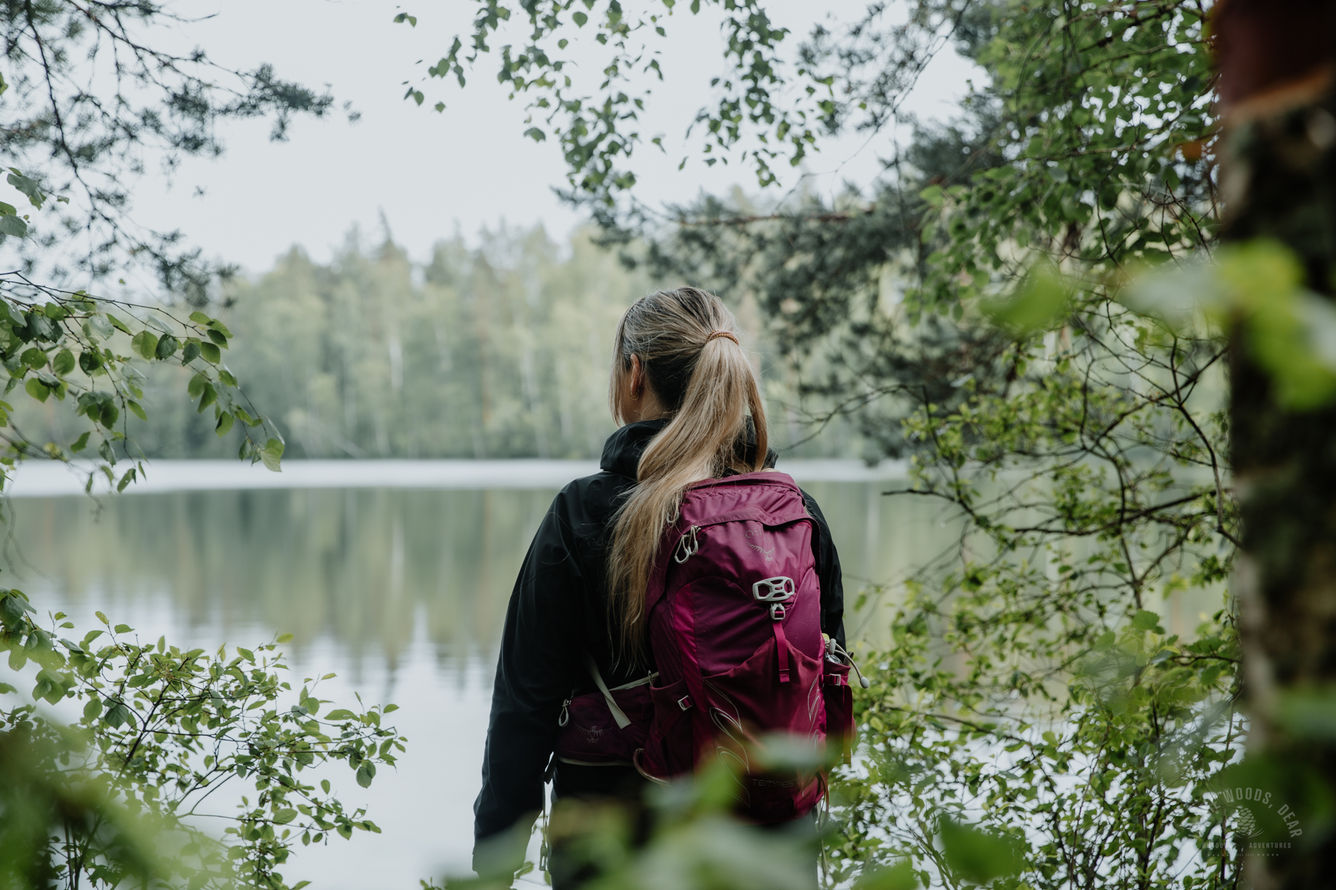 Sipoonkorpi national park Fiskträsk